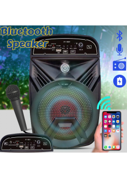 Karaoke High Bass Wireless Bluetooth Speaker With Micro SD / TF / USB Flash And FM Radio Support, XY-0651